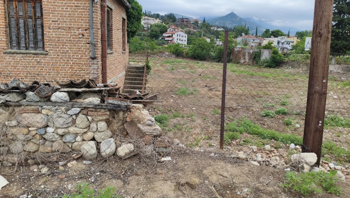 MVIMG_20250525_135053