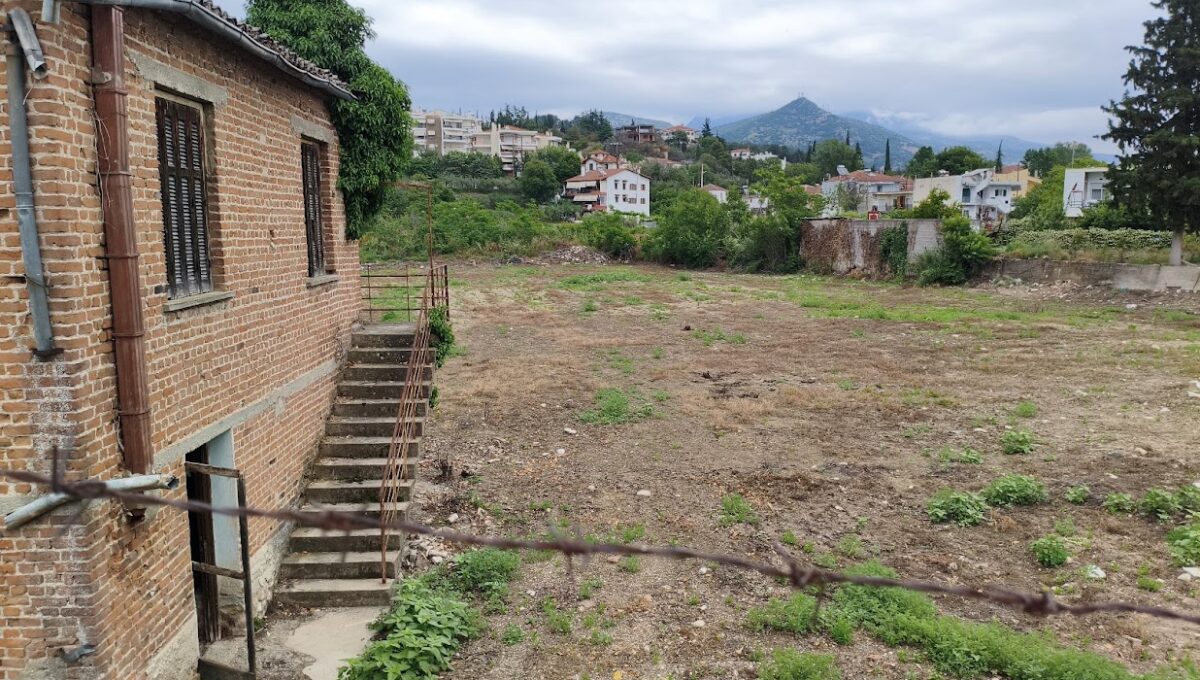 MVIMG_20250525_135059