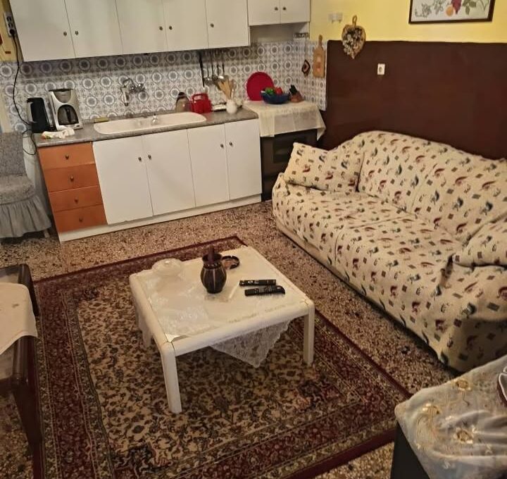 662040771_10236659480564672_4336898413448356850_n