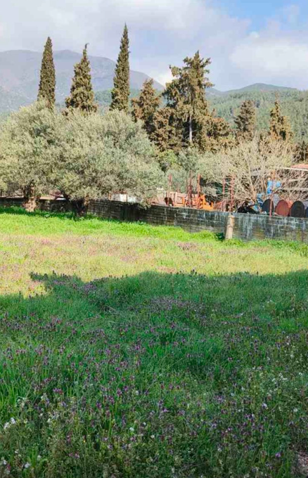 截图_20260318_101228