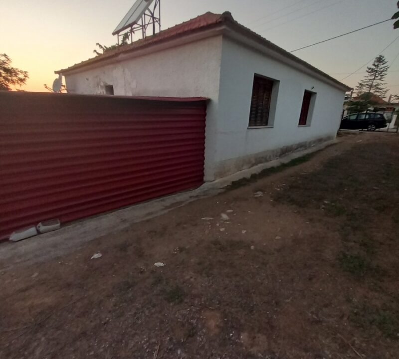 10-77003256