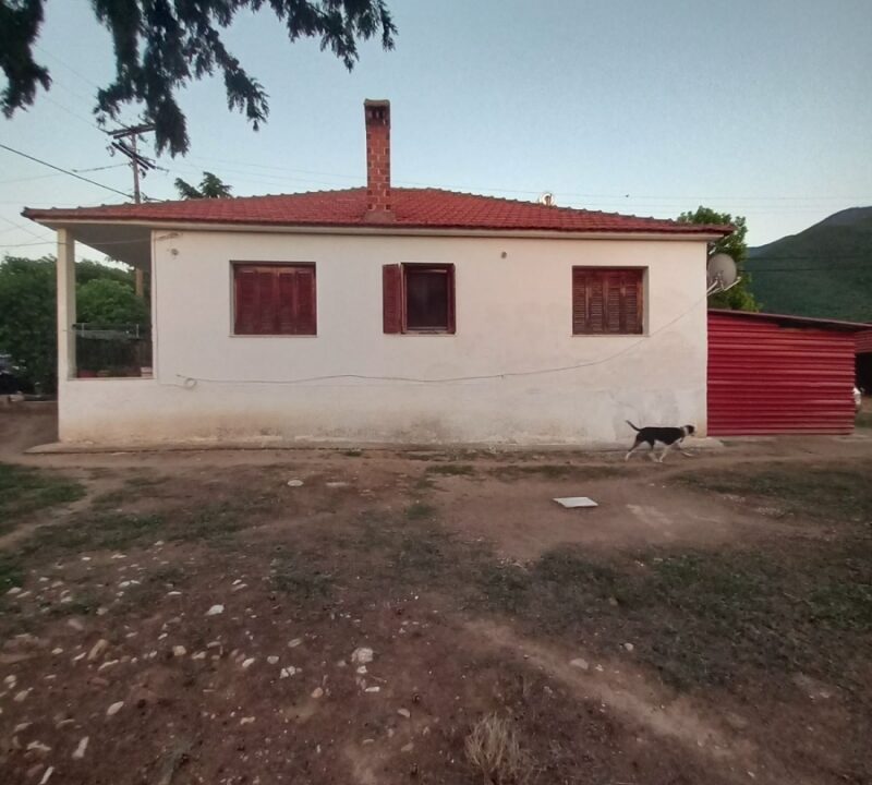 10-77005660