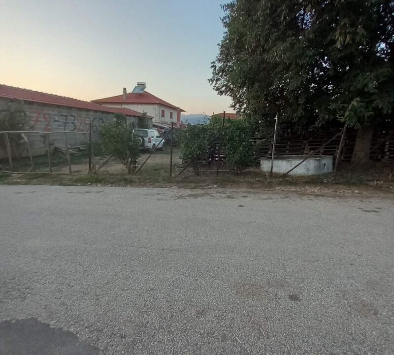 10-77018737