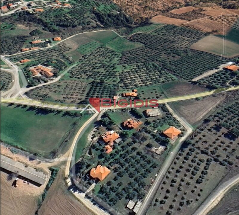 10-82971679