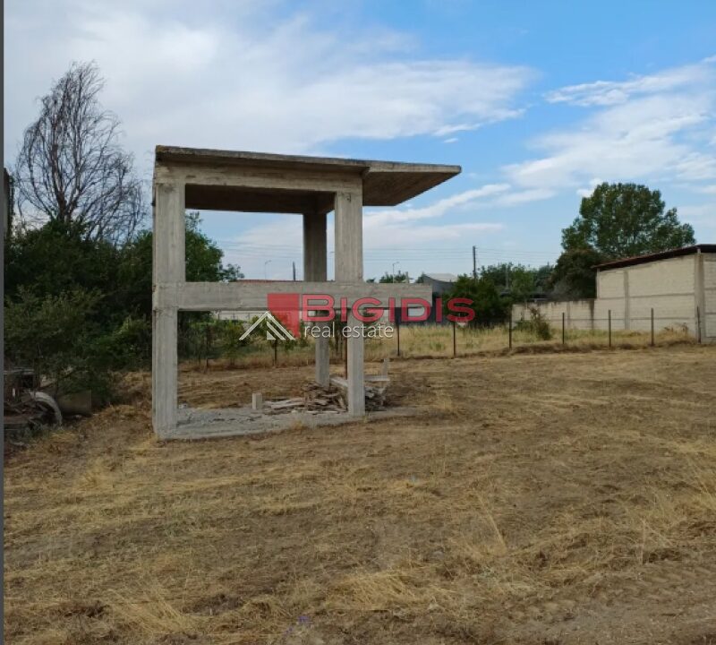 10-83447023