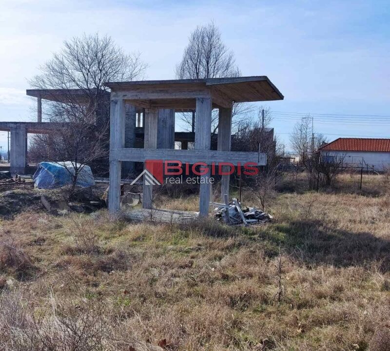 10-83448161