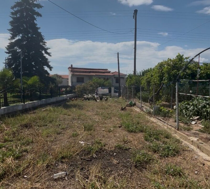 10-8501297916