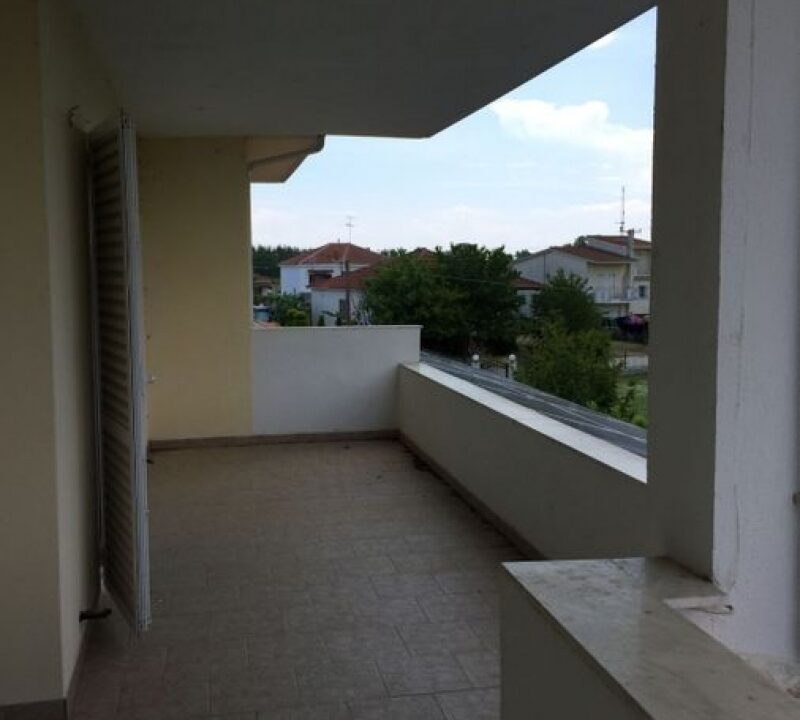 169648517
