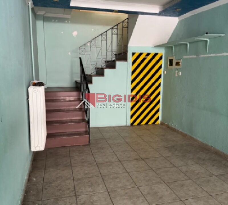 20-8381331